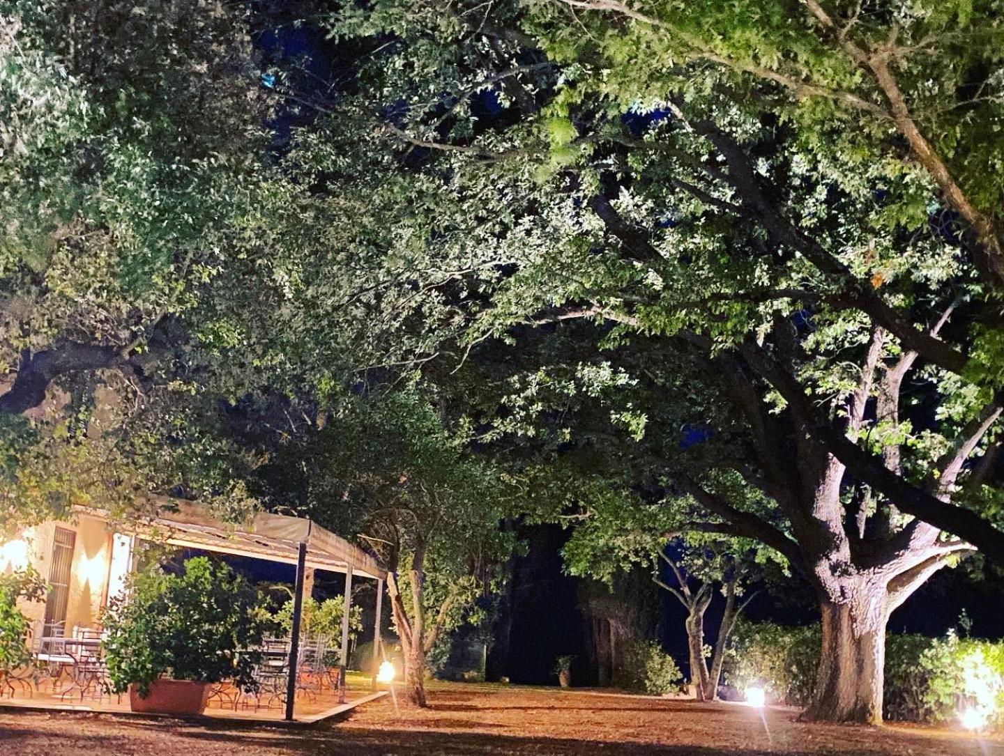Ghiaccio Bosco Guest House Capalbio Exterior photo